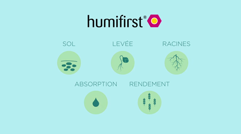 Humifirst®, produire plus avec autant de fertilisants